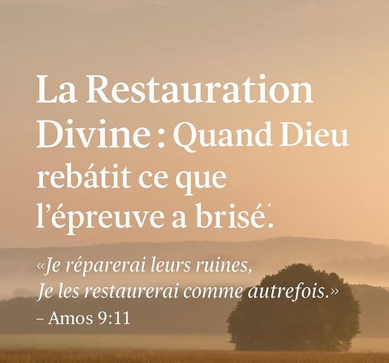 Lire la suite à propos de l’article Suivi => La Restauration Divine : Quand Dieu Rebâtit ce que l’Épreuve a Brisé